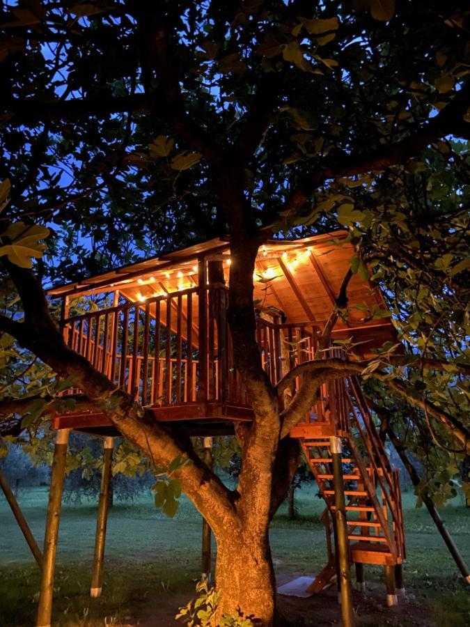O_live Agriresort